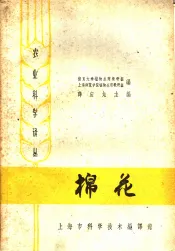 棉花