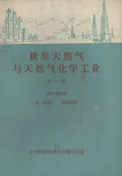 世界天然气与天然气化学工业  第1册