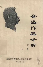 鲁迅作品分析  下