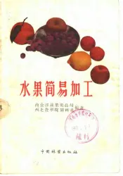 水果简易加工