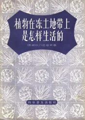 植物在冻土地带上是怎样生活的