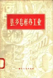 县  乡怎样办工业