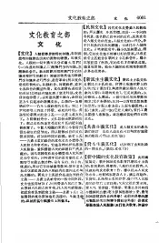 新名词辞典  文化教育之部