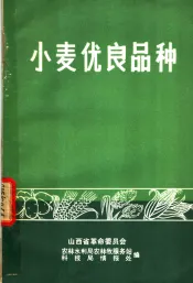 小麦优良品种