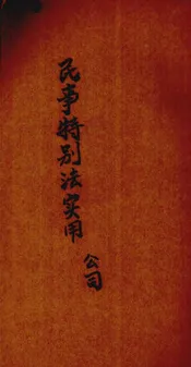 民事特别法实用公司