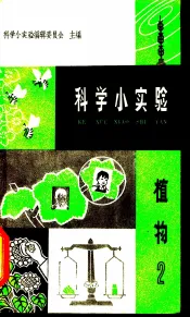 科学小实验  植物  2