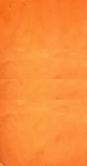 文史通义  4