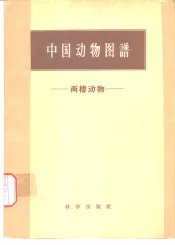 中国动物图谱  两栖动物
