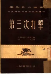 第三次打击