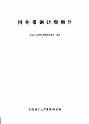 国外带钢盐酸酸洗
