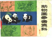 动物画参考资料