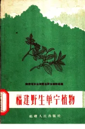 福建野生单宁植物