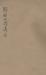 别的一个妻子  美国现代短篇选集