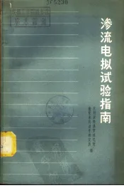 渗流电拟试验指南