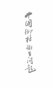 中国乡村卫生问题