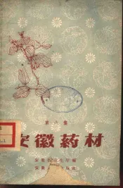 安徽药材  第6集