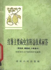 红薯主要病虫害防治技术问答  黑斑病、薯瘟病、小象鼻虫