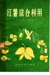 红薯综合利用