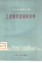 工业和农业同时并举