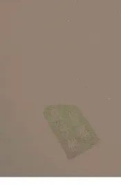 八旗通志初集  23